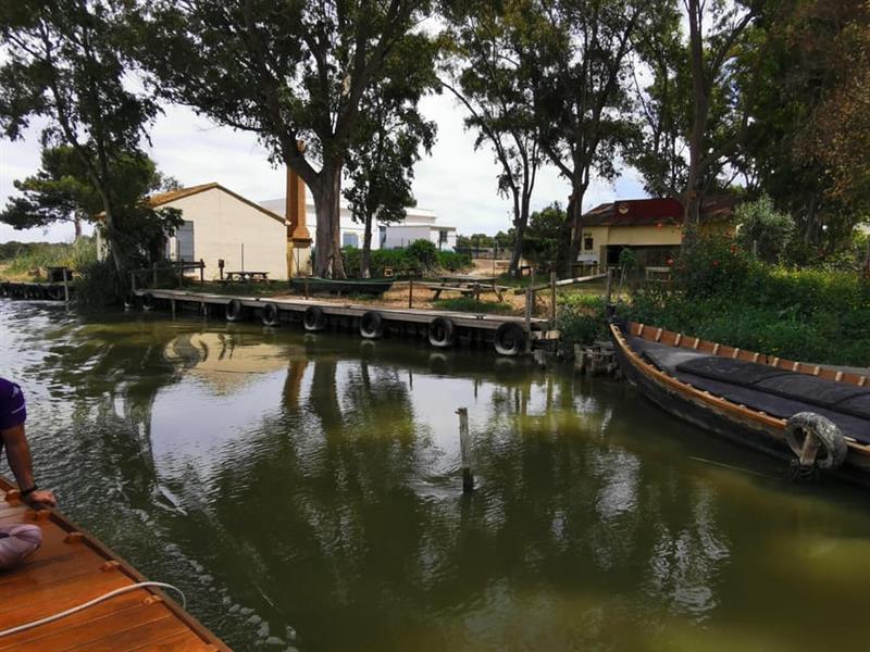 Valencia Albufera